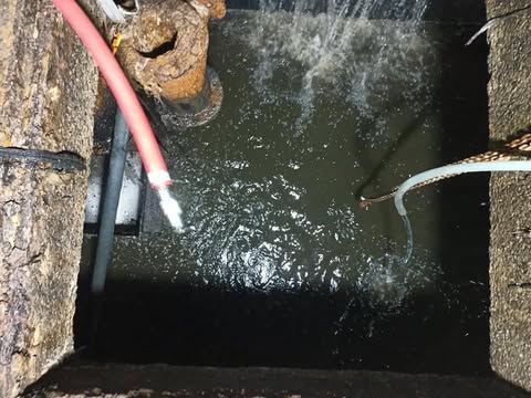 คอนโดมิเนียม